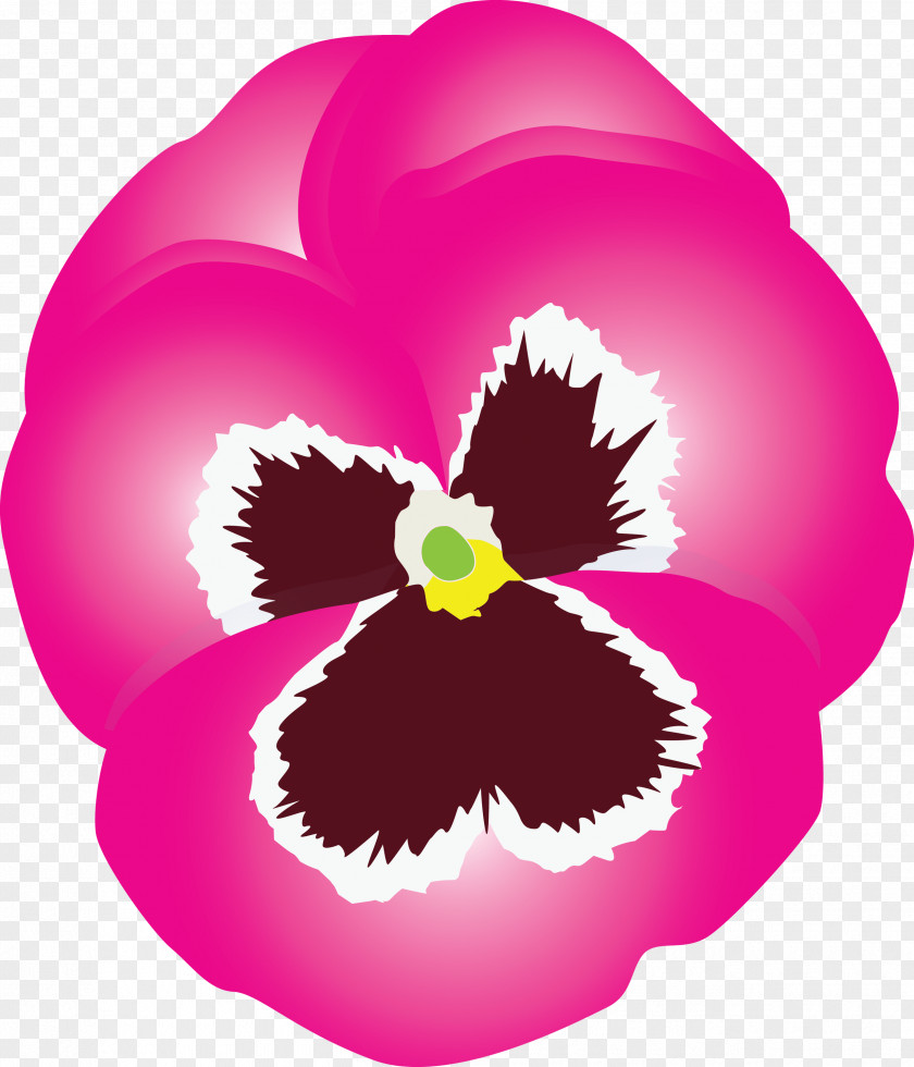 PANSY Spring Flower PNG