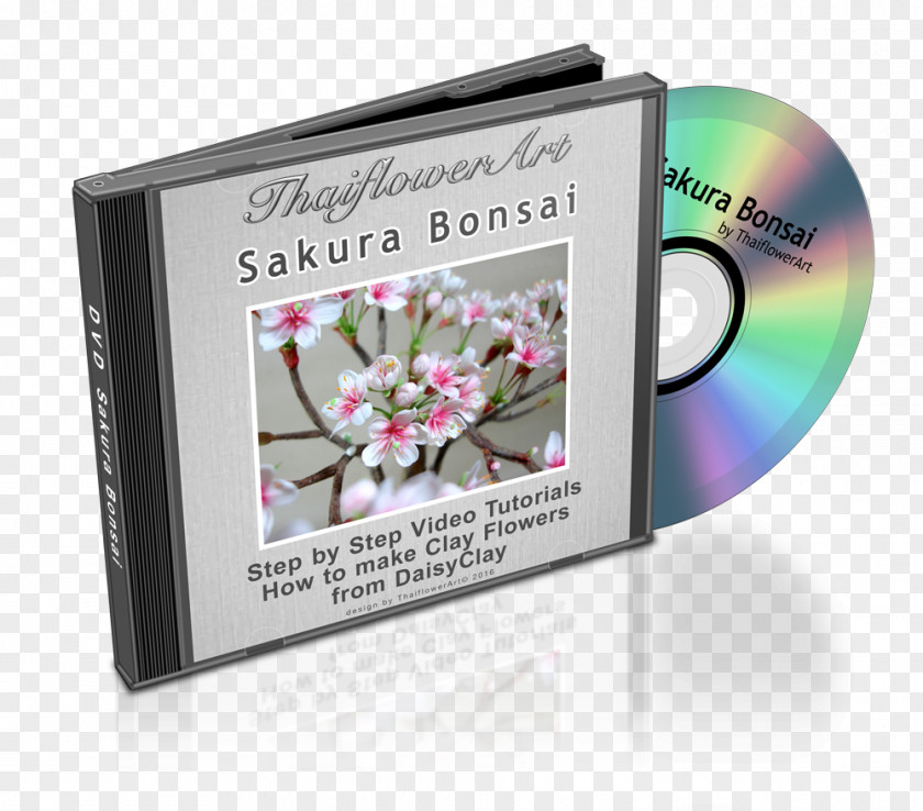 Sakura Bonsai Image Sing-A-Longs And Lullabies For The Film Curious George DVD Stock Illustration Compact Disc PNG