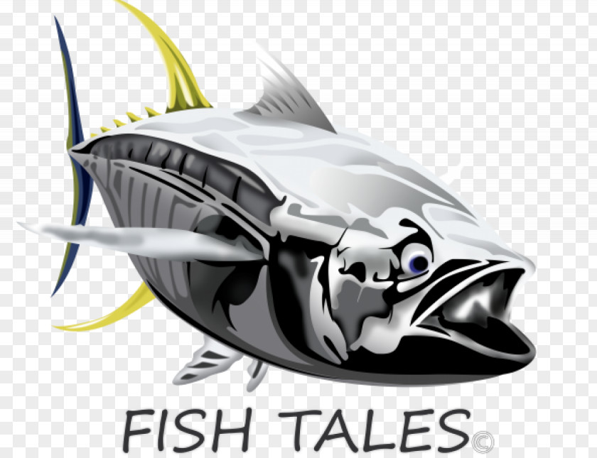Tuna False Bay FISH TALES CHARTERS (Cape Town) Fishing Yellowfin PNG