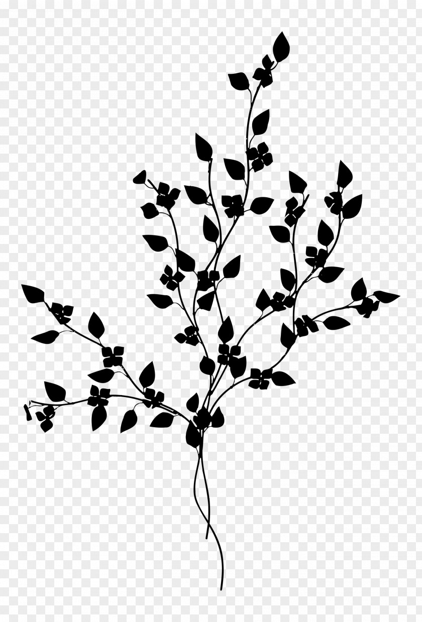 Twig Plant Stem Leaf Font Line PNG