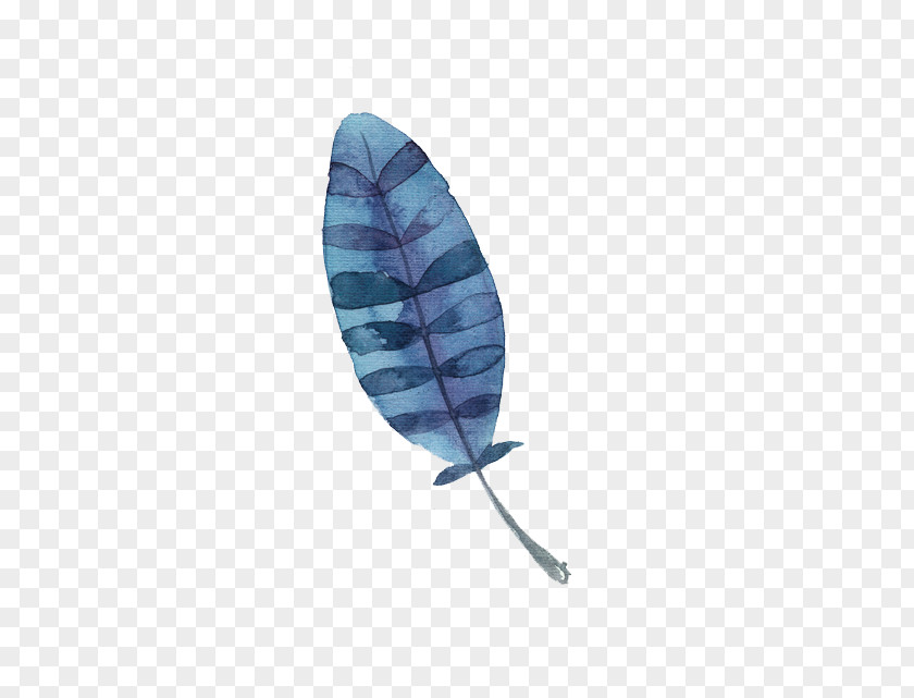 Watercolor Feather Watercolor: Flowers Watercolour Painting PNG