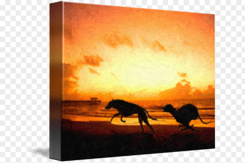 Beach Sunset Greyhound Painting Canvas Print Art PNG