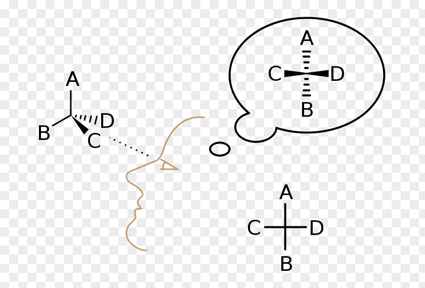 Fischer Projection Stereochemistry Molecule PNG