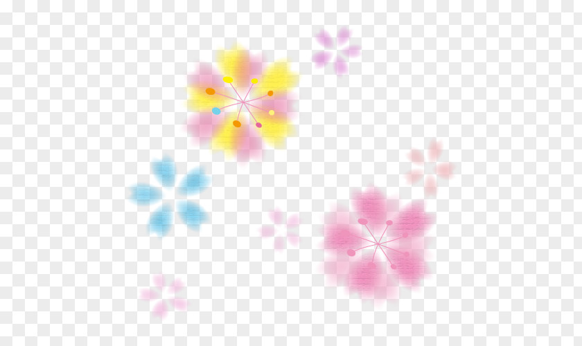 Flower Illustration Color Illustrator Graphics PNG