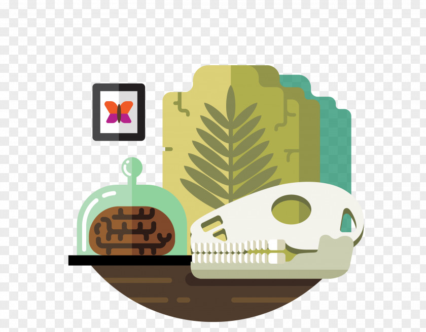 Pharmaceutical Skull Model Animal Skulls Illustration PNG