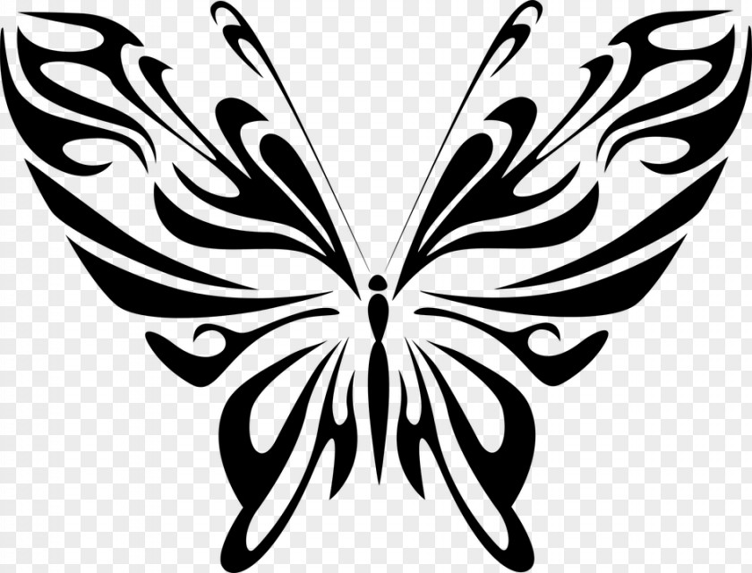 Plant Symmetry Butterfly Stencil PNG