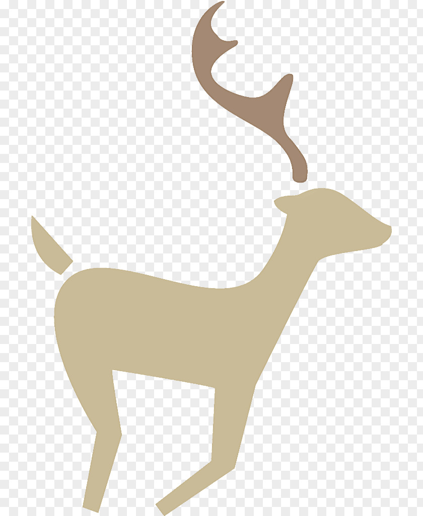 Reindeer Christmas PNG