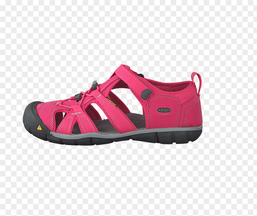 Sandal Slipper Wildflower Sandaler Sports Shoes PNG