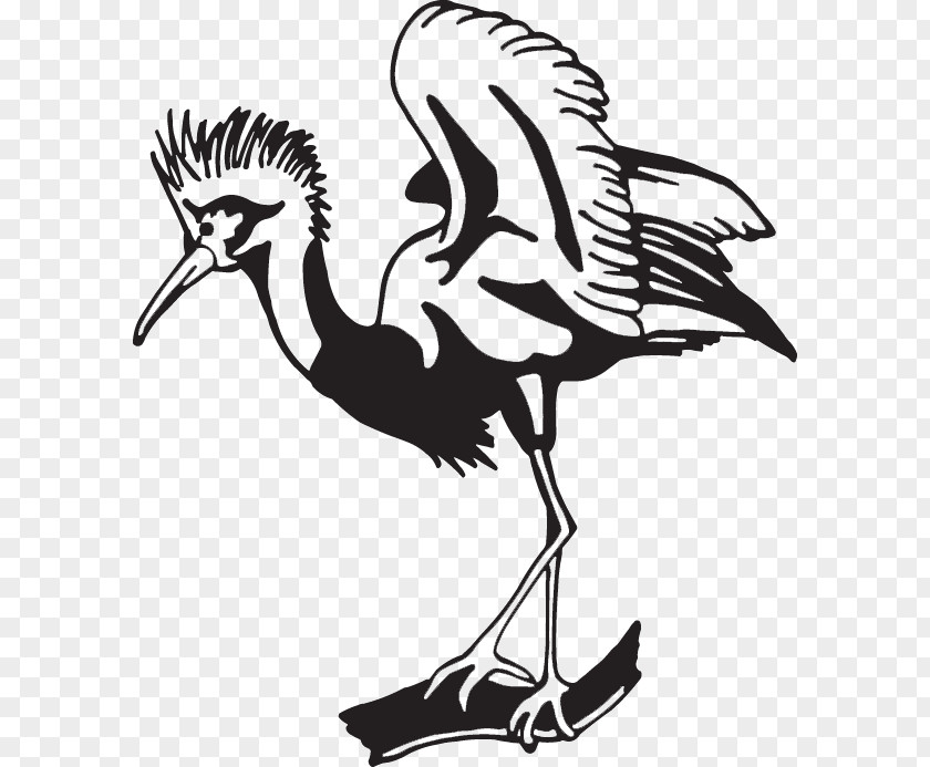 Silhouette Line Art Bird Clip PNG