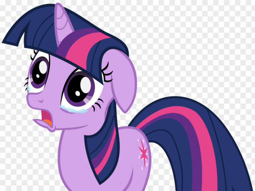 Twilight Sparkle Pinkie Pie My Little Pony Rarity PNG