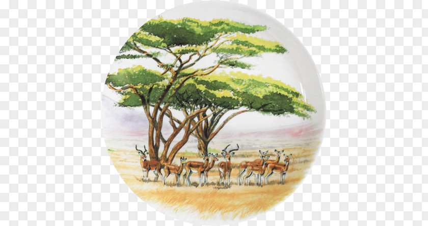 Bowl Of Cereal Savanna Tableware Couch Plate Safari PNG