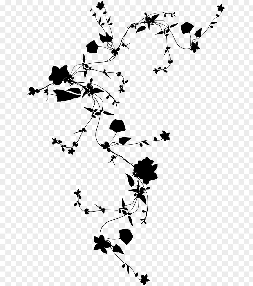 Clip Art Twig Flower Petal Illustration PNG