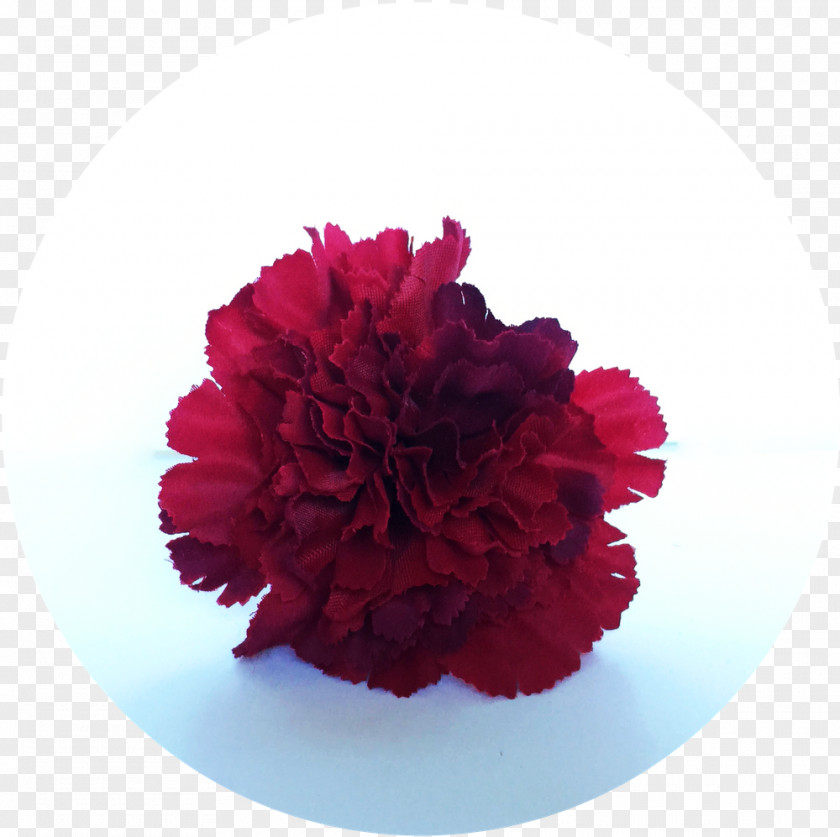 Flower Carnation Cut Flowers Floral Design Bouquet PNG