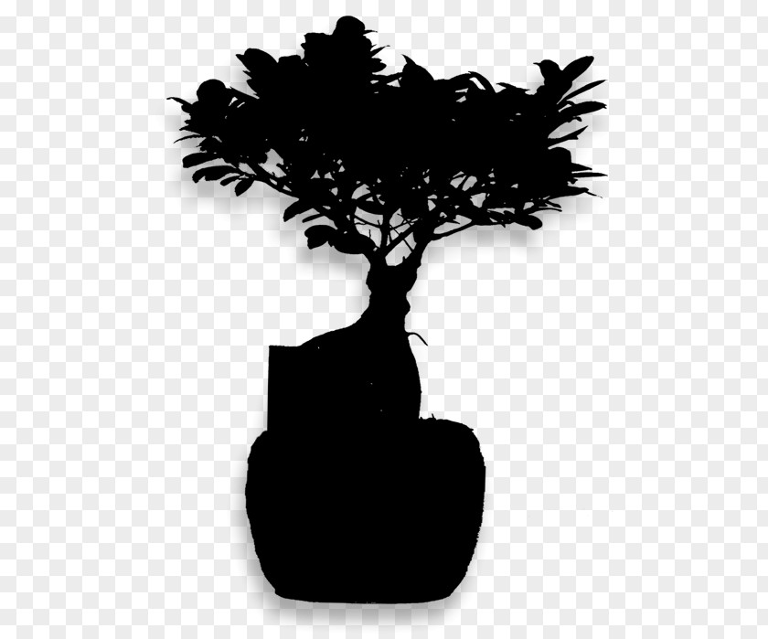 Flowerpot Houseplant Silhouette Leaf Branching PNG