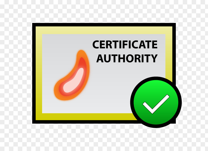 Higher National Certificate Authority Public Key Root Infrastructure Self-signed PNG