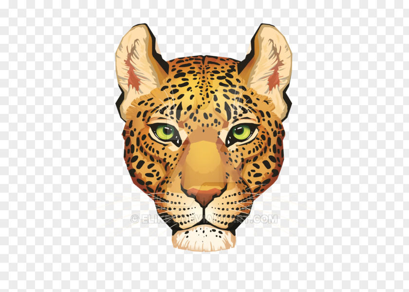 Jaguar Cheetah Felidae Leopard Cougar PNG