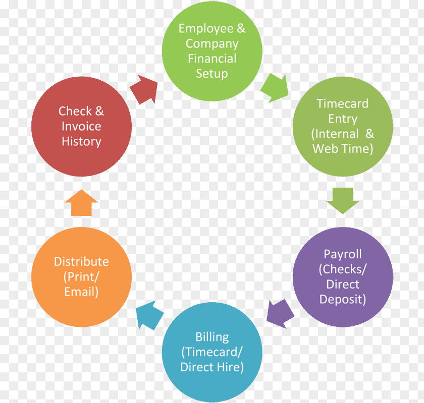 Project Information Leadership Biological Life Cycle Plan PNG