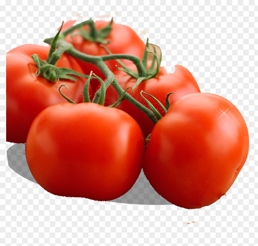 A Bunch Of Tomatoes Organic Food Tomato Vegetable Eating PNG