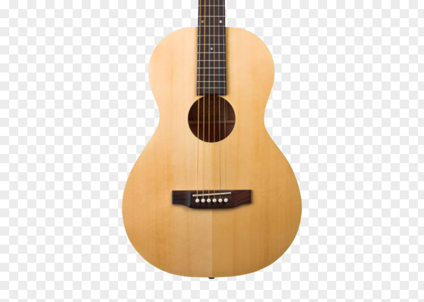 Acoustic Guitar Acoustic-electric Takamine Guitars PNG