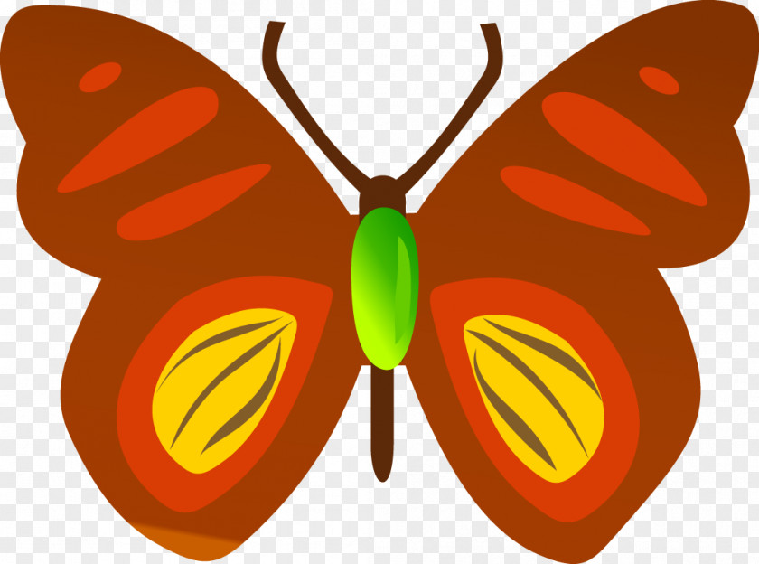 Butterflies Vector Butterfly Insect Clip Art PNG