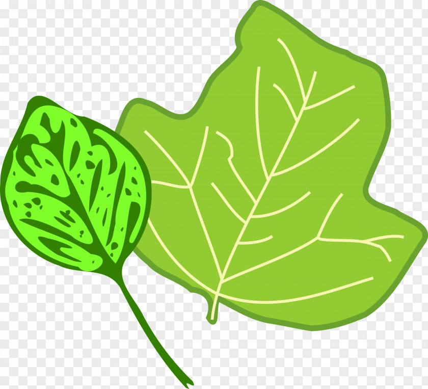 Embrace Clipart Leaf Clip Art PNG
