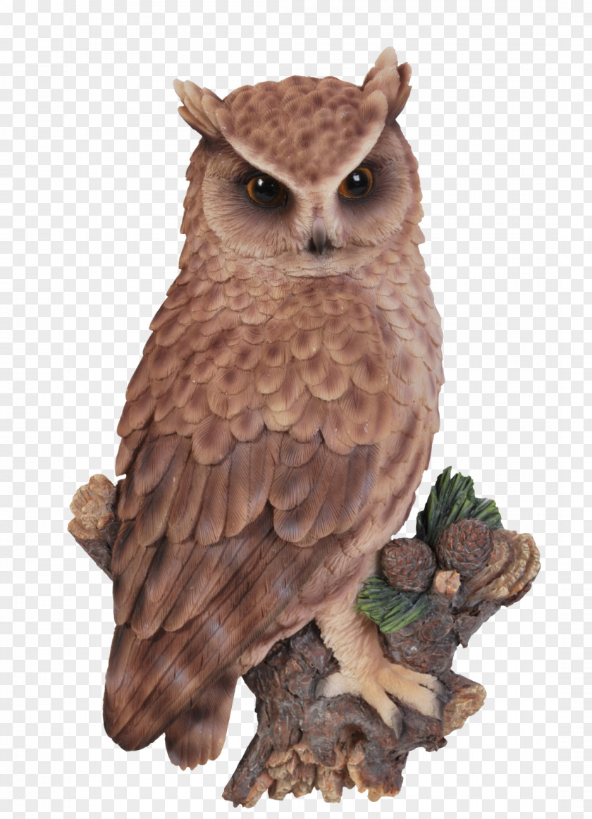 Owl On A Tree Branch Long-eared Tawny Short-eared Little PNG