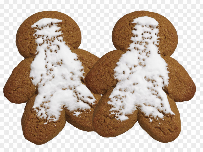 Whole Grain Biscuits Gingerbread Lebkuchen PNG