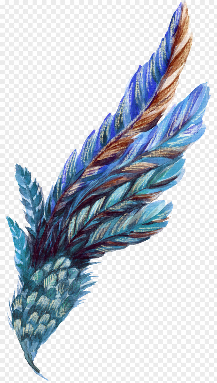 Blue Feather Leaves Leaf Orange Plant PNG