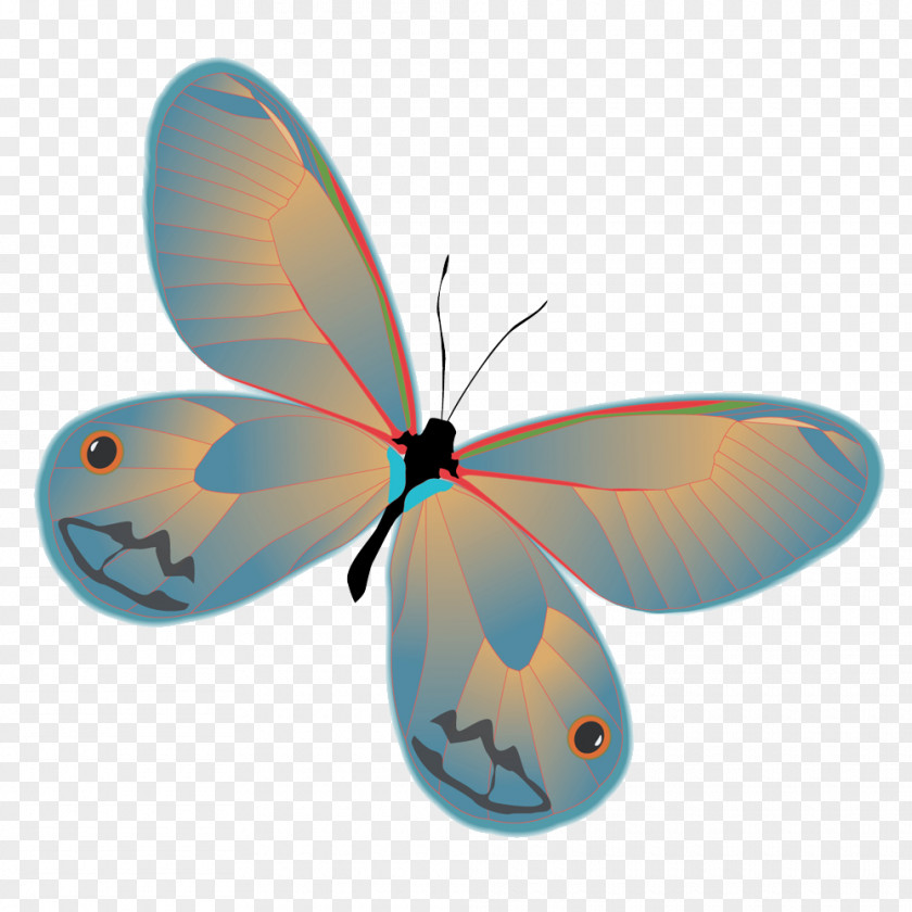 Cartoon Butterfly Clip Art PNG