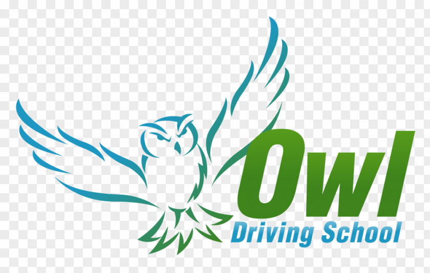 Driving School Owl Instructor Learning PNG