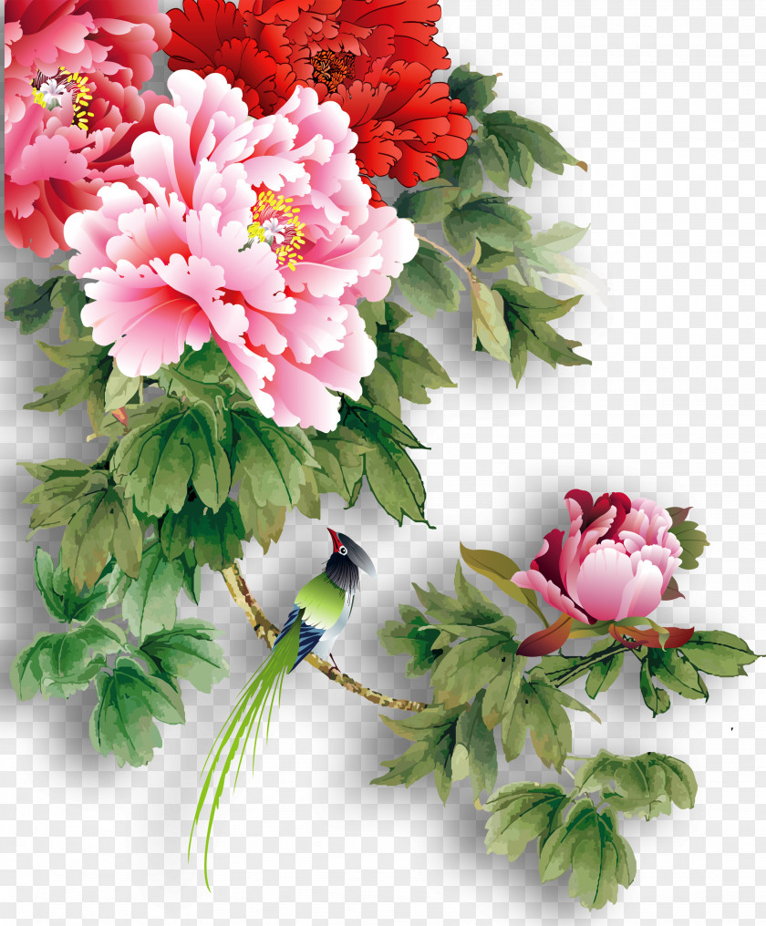 Peony Flowers China Paper Moutan PNG