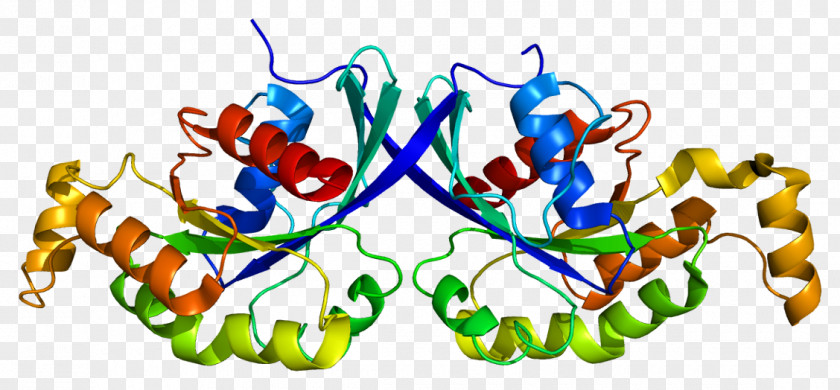 RHOQ Gene GOPC Protein Ras Superfamily PNG