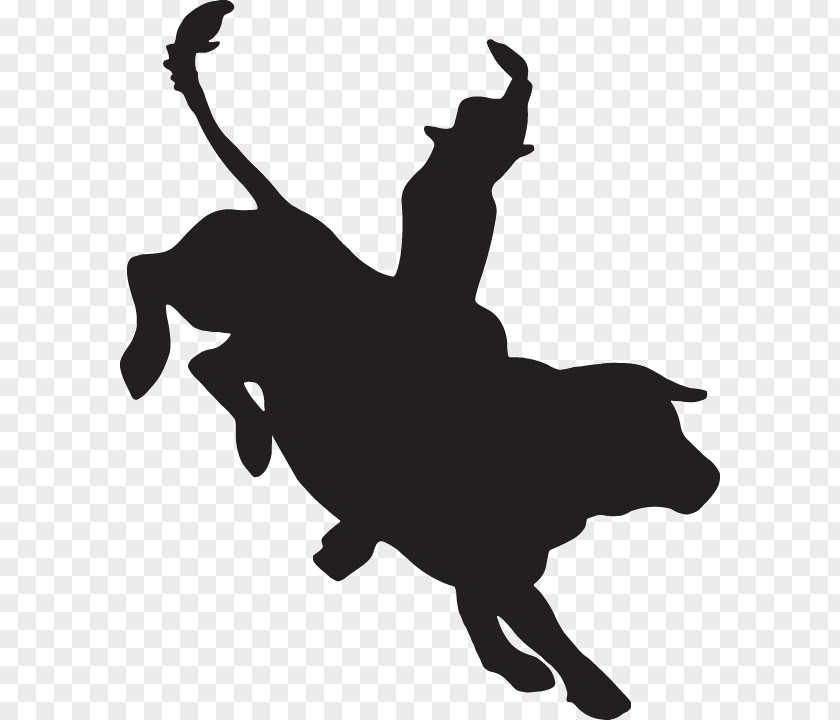 Black Gold Rodeo Professional Cowboys Association Drive Bull Riding PNG