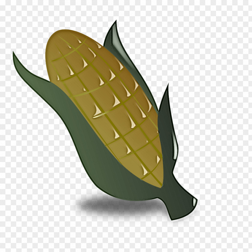 Flower Fruit Leaf Plant Tree Logo Vegetarian Food PNG