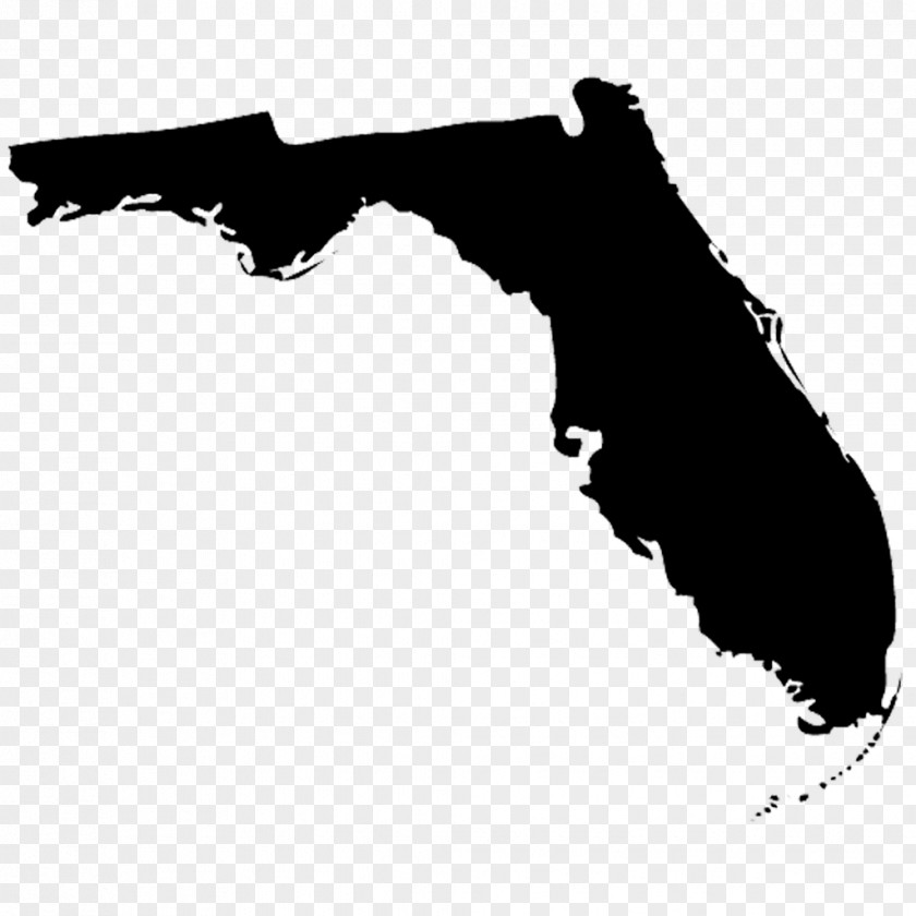 Usa Flag Vector Florida Graphics Clip Art Royalty-free Image PNG