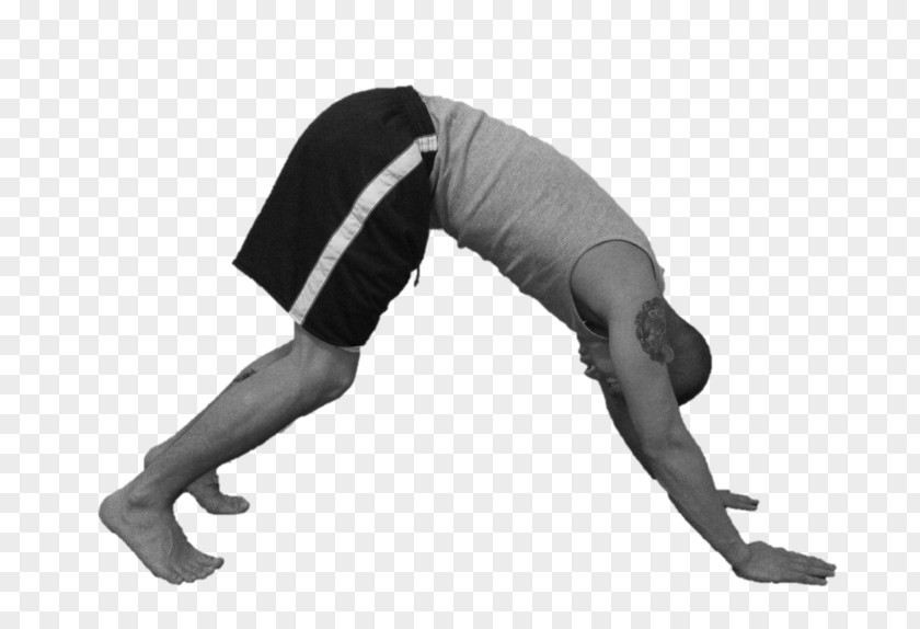 Yoga Anatomy Pelvis Pelvic Tilt Hip Shoulder PNG