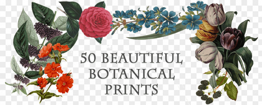 Botanical Prints Kew Gardens Lithography Printing Flora PNG