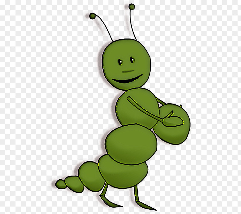 Green Insect Cartoon Grasshopper Plant PNG
