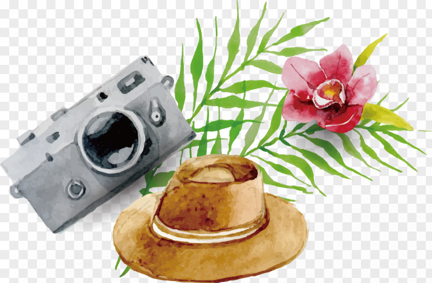 Hat Camera Travel Poster Flowers Background Material PNG