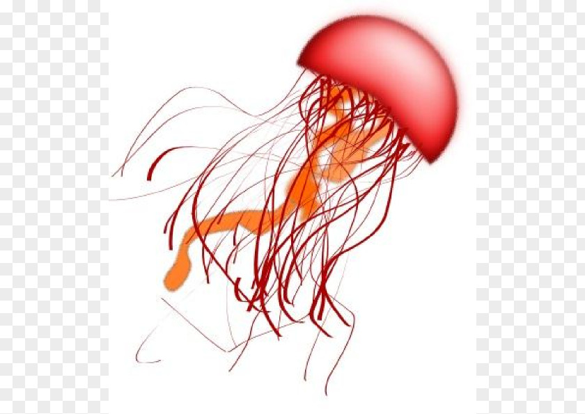 Jellyfish Cliparts Blue Clip Art PNG