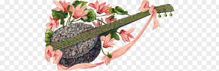 Nova Linea Flower Musical Instruments PNG