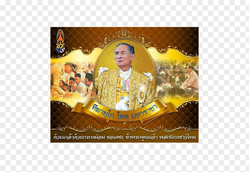 Outlook Festival คลีนิกรักสัตว์ โรงเรียนเสนารักษ์ กรมแพทย์ทหารบก Nonthaburi Wat Phra That Doi Suthep Senarak School PNG