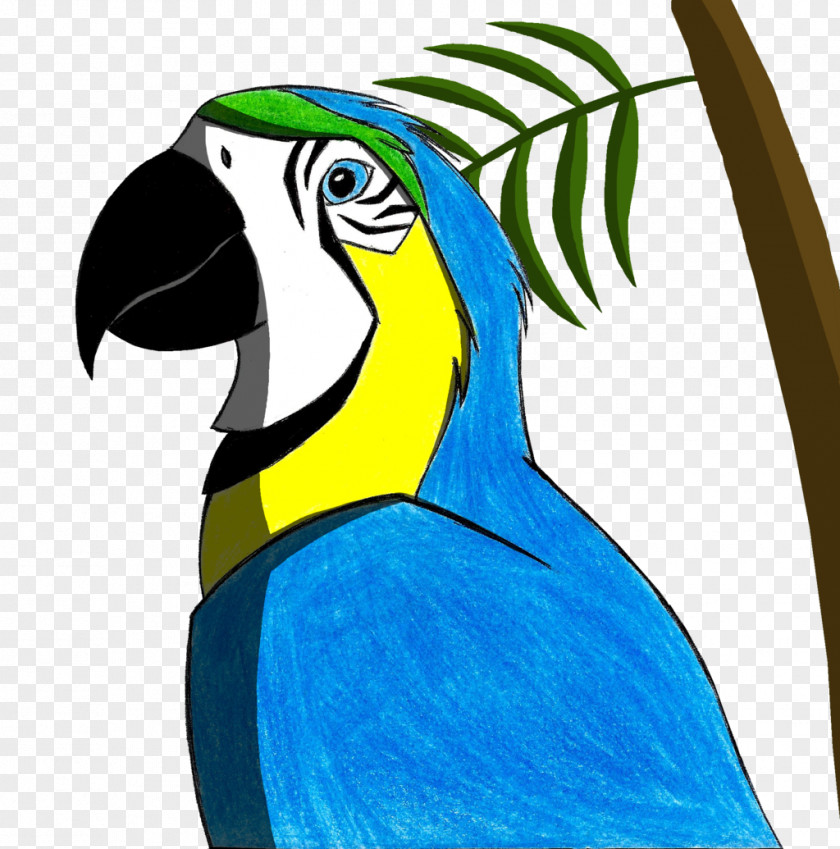 Parrot Macaw Beak Toucan Feather PNG
