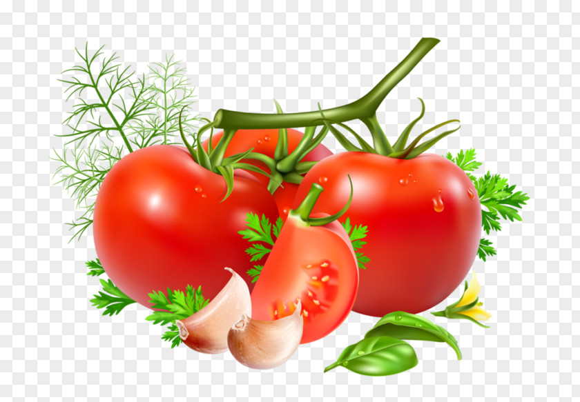 Vegetable Cherry Tomato Food PNG