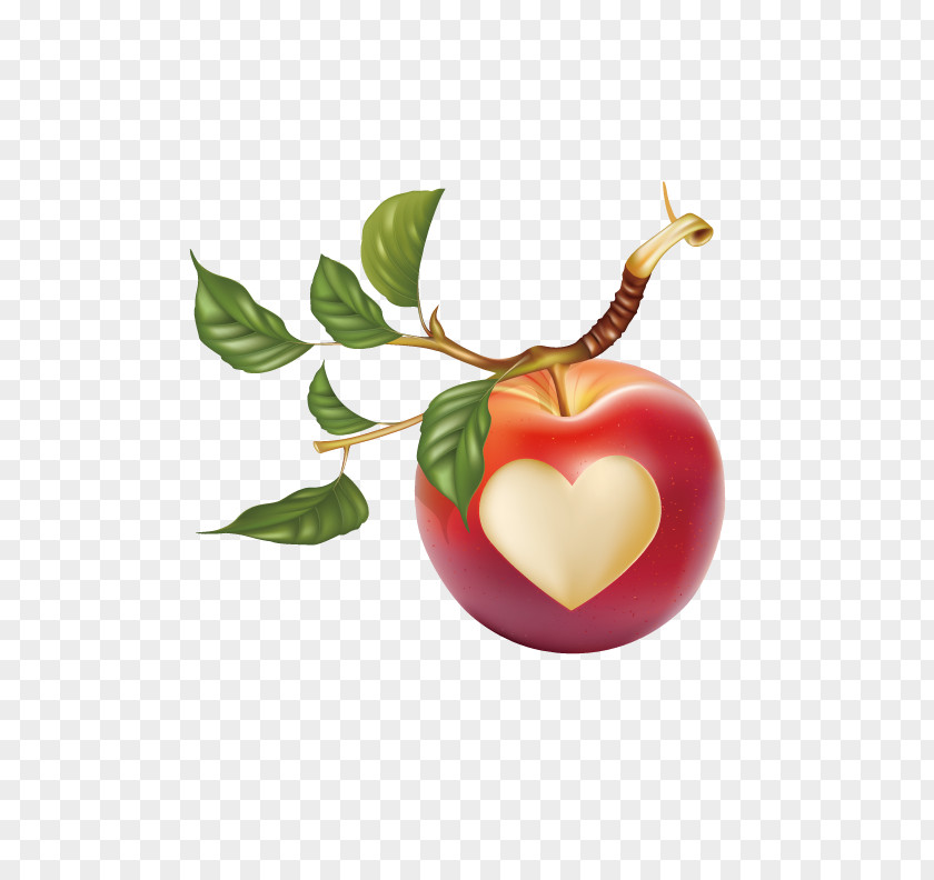 Heart Apple Leaf Fruit Clip Art PNG