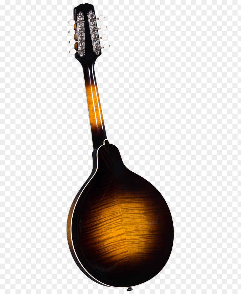 Musical Instruments Electric Mandolin Musician Amazon.com PNG