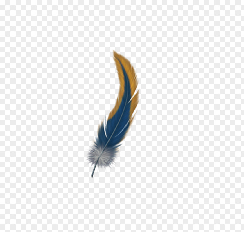 Related Feather Wings PNG