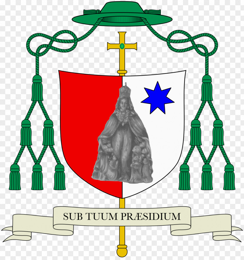 Roman Catholic Bishop Of Honolulu Diocese Gibraltar Darwin Archdiocese Malta Ardagh And Clonmacnoise PNG
