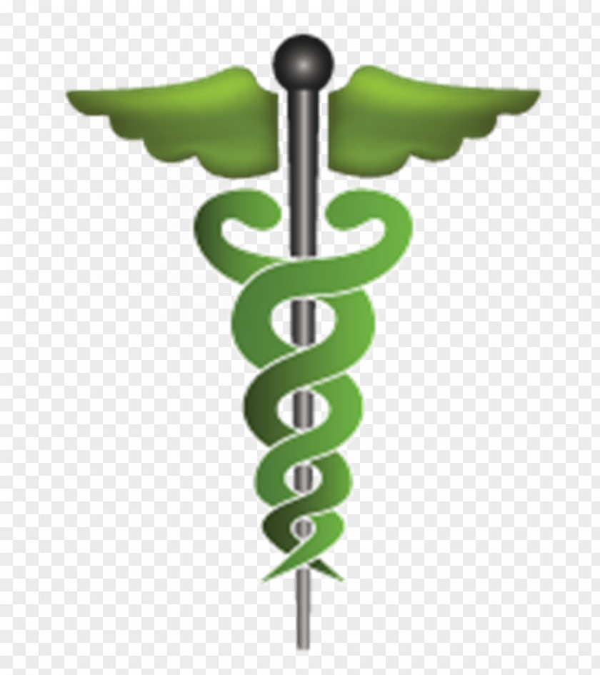 Symbol Staff Of Hermes Doctor Medicine Physician PNG