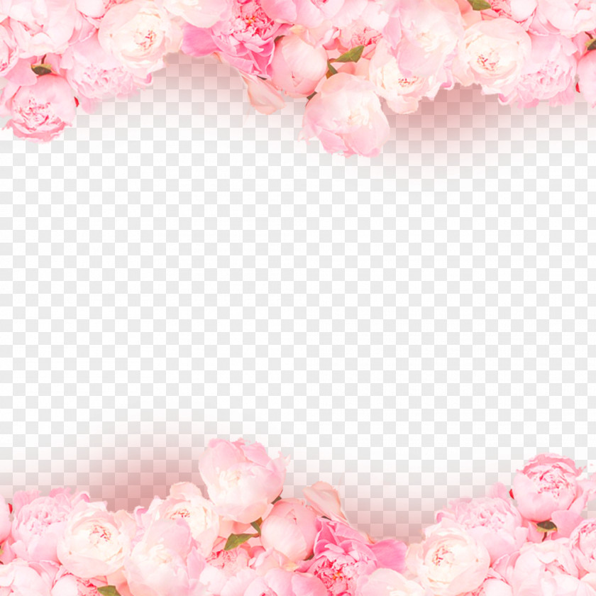 Valentine's Day Rose Pink Wallpaper PNG